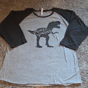 Gray and Black Raglan Tee with Dinosaur Print